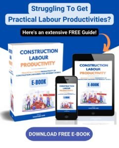 Construction Labour Productivity
