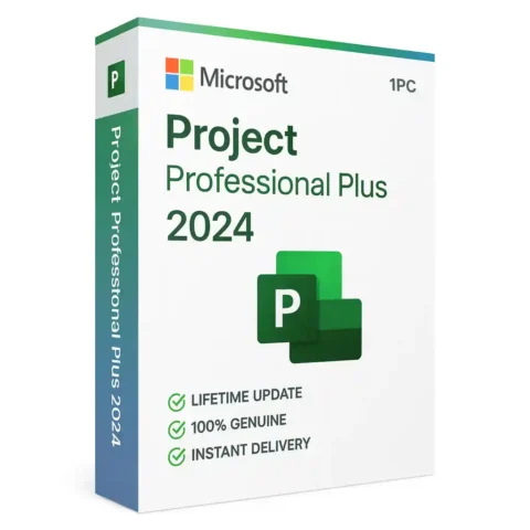 MS Project 2024